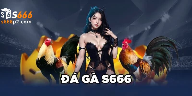 Luật chơi đá gà tại nhà cái S666